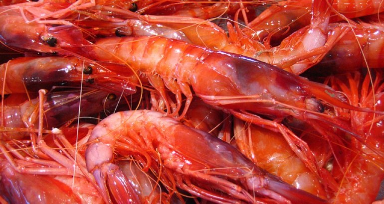 Sanremo's Gastronomic Specialties: A Journey Through Taste with Sanremo's Prawns